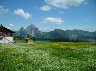 Frhlingswiese in Stoos